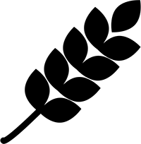 INVICTUS LTD. INVICTUS LTD.