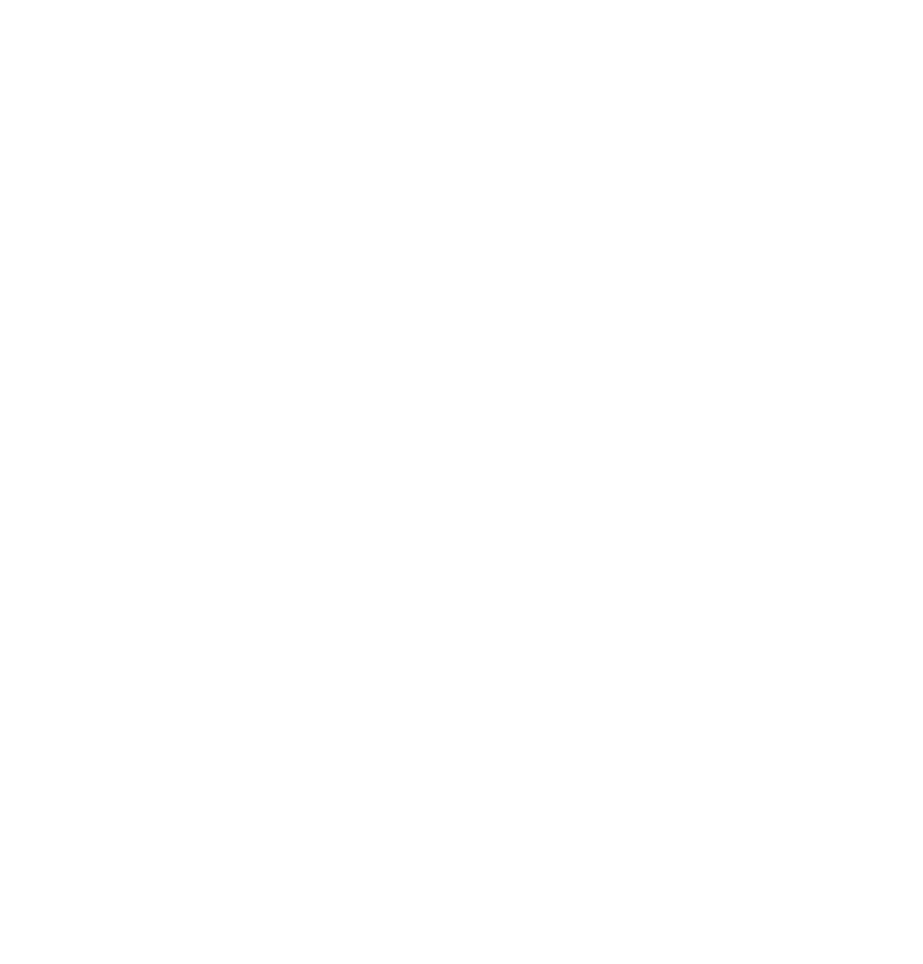 INVICTUS LTD. INVICTUS LTD.